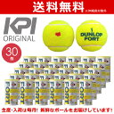 「あす楽対応」「KPIオリジナルモデル」DUNLOP（ダンロップ）「FORT（フォート）[2個