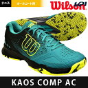 『10%OFFクーポン対象』ウイルソン Wilson テニス...