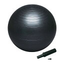 ショッピングバランスボール ハタ HATAS マルチSP設備用品 バランスボールセイフティー ポンプ付(直径約 50 cm・ブラック) DB50P