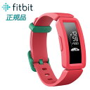 〔送料無料〕 FITBIT フィットビット ACE 2 ウォーターメロン / ティール バックルFB414BKPK-FRCJK お子様向け【NEWモデル】【国内正規品】