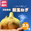 送料無料 淡路島産 新たまねぎ 新玉ねぎ 新タマネギ 新玉 新玉葱 玉ねぎ タマネギ 玉葱 たまねぎ 淡路島新たまねぎ 淡路島新玉ねぎ 淡路島新タマネギ 淡路島たまねぎ 淡路島玉ねぎ 淡路島タマネギ 兵庫県淡路島 淡路島産新たまねぎ 2.5kg 2.5キロ 1,980円