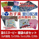 2 西川リビング 夏のスヌーピー福袋4点セット ひんやり抱き...