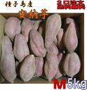 予約1割増量 秀品中園ファームMサイズ5kg【2口以上購入で送料無料 北海道・東北・沖