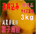 予約1割増量 秀品送料無料 長期熟成蜜芋 種子島産安納芋 お試しM・Sミックス3kg種子島より産地直送【別途送料北海道・東北】【安納芋種子島】