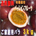 送料込みご自宅用パッションフルーツバラ詰め3kg30個〜35個前後入り 3Lまで大玉混在種子島産【北海道500円・東北300円別途必要】お中元 5%サンキュークーポン発行中