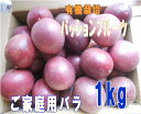 ご自宅用規格外パッションフルーツ有機肥料栽培種子島産バラ大玉混在 約1kg 10玉前後入り