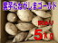 訳あり紫芋種子島ゴールドサイズ混在5kg入り