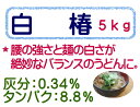 白椿 うどん粉 5kg(1kg×5) 中力粉 日清製粉 麺用粉 小麦粉 / 手打ち うどん用粉 手打ちうどん