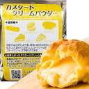 カスタードクリームパウダー 100g パイオニア企画 スイー...