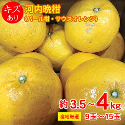 【3月10日頃～順次発送】 【 河内晩柑 約 3.5kg ～ 4kg 9～15玉 】送料無料 産地厳選 河内晩柑 <strong>パール柑</strong> サウスオレンジ 3.5kg以上 約 4kg 9～15玉 キズ有り 国産 国産みかん みかん 果物 くだもの フルーツ 訳あり