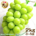 地域厳選【8月下旬から発送】 シャインマスカット 秀品 2kg 3~5房 ご家庭用 マスカット ぶどう ギフト お中元 暑中見舞い