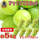 地域厳選【11月下旬まで順次発送】 シャインマスカット 秀品 5kg 7~10房 ご家庭用 マスカット ぶどう ギフト お中元 暑中見舞い 訳あり 敬老の日 ギフト プレゼント