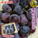 【2020/予約受付中】 送料無料 地域厳選 ピオーネ ニュ...