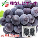 【2020/予約受付中】 送料無料 愛媛県 産地直送 ピオー...