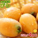 【2020/予約受付中】 送料無料 地域厳選 びわ ビワ 枇杷 L サイズ 400g × 4パック 国産 ご家庭用 訳あり ご自宅用 加工用 果物 くだもの フルーツ ギフト 訳あり