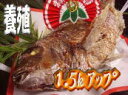 【送料無料企画実施中!!】　【祝い鯛】　お食い初め お祝い用 国産真鯛　焼き鯛　祝鯛　炭火焼 1．5kgupの愛媛県の真鯛真冬でも脂がのってうまい！お食い初め・にらみだいにも最適です。焼鯛　祝鯛