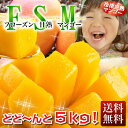 マンゴー★送料無料!追熟・極甘フローズンマンゴー食べ放題たっぷり5kg(カットタイプ)◎高級で濃厚な味わいをいつでもすぐに食べれる冷凍マンゴー【フローズン甘熟マンゴー500g×10袋】【RCP】