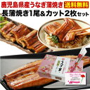 母の日 グルメ ギフト プレゼント うなぎ 食べ物 蒲焼き 国産 鹿児島産 長蒲焼き1尾&カット2枚セット ギフトBOX うなぎの里 クール(鰻 ウナギ)