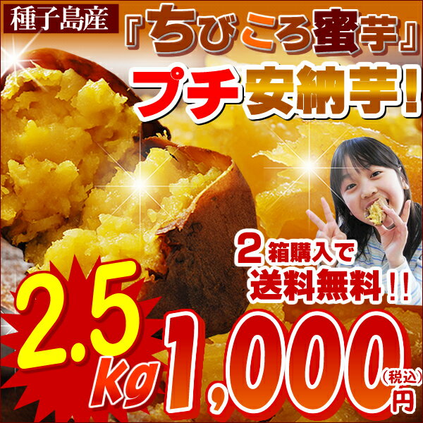 ＼スーパーSALE／びっくり価格！★1kg⇒たったの400円！大人気プチ安納芋♪Aランクのお芋をたっぷり2.5kg★価格破壊に挑戦★種子島産甘さ凝縮プチ安納芋◎2箱分購入で送料無料極上のあま〜い蜜がたっぷり甘熟プチ蜜芋♪糖度40度の種子島産安納芋★プレミア蜜芋の『コロコロまるっこい,おちびちゃん』TVや雑誌で紹介され人気集中！