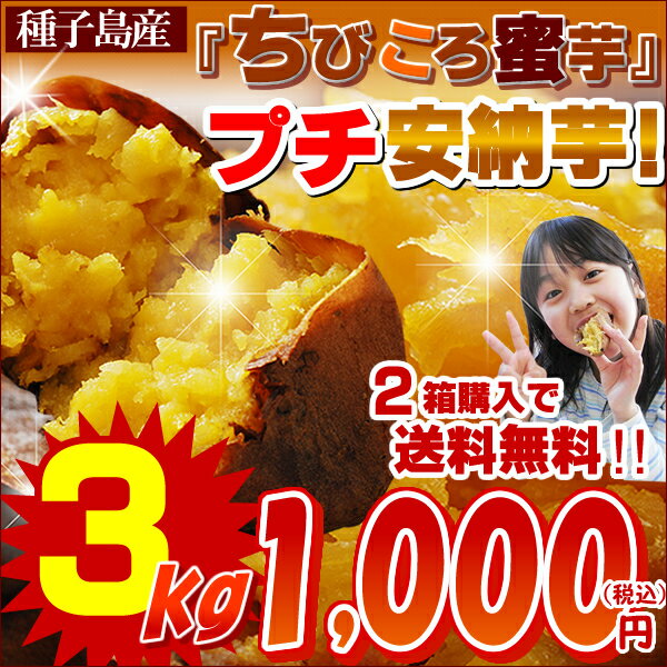 訳ありびっくり価格！★1kg⇒334円！ 大人気プチ安納芋♪Aランクのお芋をたっぷり3kg★3,000円⇒1,000円価格破壊に挑戦★種子島産甘さ凝縮プチ安納芋★◎2箱分購入で送料無料♪【ちびころ蜜