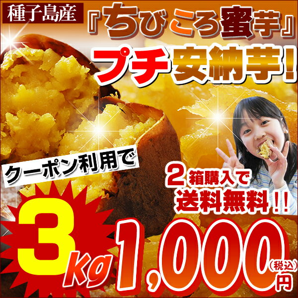 ＼クーポン利用で2,000円OFF！／最安特価☆なんと1kg⇒334円！≪通常3,000円⇒1,000円ポッキリ≫◎甘さ凝縮！◎2箱分ご購入で送料無料♪極上のあま〜い蜜がたっぷり甘熟プチ蜜芋♪糖度40度の種子島産安納芋★プレミア蜜芋の『コロコロまるっこい,おちびちゃん』TVや雑誌で紹介され人気集中！