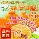 デコポン でこぽん 訳あり 送料無料 10kg 春みかん 不...