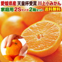 みかん 送料無料 訳あり 5kg 小玉 愛媛 家庭用 ジュースにも最適 缶詰では表現できない甘さ 早生 JAにしうわ 川上共選 天皇杯受賞 川上小玉 小蜜柑 2Sサイズ 稀少品 果物 フルーツ 産地直送 J常