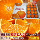 お歳暮 ギフト 紅まどんな 愛媛みかん JAえひめ中央限定 2L玉×3kg 光センサー完全選果 秀品 送料無料