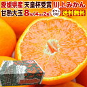 お歳暮 ギフト みかん 送料無料 大玉 愛媛 早生 JAにしうわ川上共選 天皇杯受賞 愛媛県産 蜜柑 2Lサイズ×6kg (ミカン)果物 フルーツ