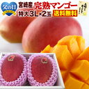 マンゴー 宮崎マンゴー 父の日ギフト 完熟マンゴー特大3L玉×2玉 JA西都協賛光センサー完全選果 ポイント5倍mango