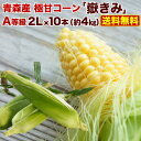 とうもろこし 嶽きみ (恵味) 早得 朝採り 産地直送 青森...
