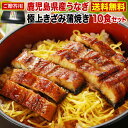 丑の日 お中元 うなぎ 食べ物 蒲焼き 国産 鹿児島産 きざ...
