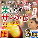 お歳暮 ギフト りんご 青森 葉とらず サンふじ 贈答用 3kg(8~10玉) 送料無料 フルーツ お誕生日 内祝い プレゼント 秀品 産直 世界が認めたプレミアム リンゴ