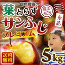 お歳暮 ギフト りんご 青森 葉とらず サンふじ 贈答用 5kg(18〜20玉) 送料無料 フルーツ お誕生日 内祝い プレゼント 秀品 産直 世界が認めたプレミアム リンゴ