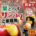 りんご 青森 葉とらず サンふじ ご家庭用 3kg(8~14玉) ちょっぴり 訳あり 送料無料 産直 世界が認めたリンゴ
