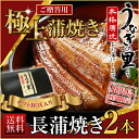 海鮮 うなぎ 蒲焼き 国内産 長蒲焼き 2本入り 送料無料 ギフト お誕生日 内祝い プチギフト プレゼント 春バテ 鹿児島産ブランド鰻 タレ山椒 お吸い物付(鰻 ウナギ)