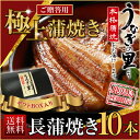 うなぎ 蒲焼き 国産 鹿児島産 長蒲焼 10本 うなぎの里 海鮮 送料無料 お誕生日 ギフト 内祝い プチギフト プレゼント 春バテ(鰻 ウナギ)