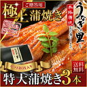 うなぎ グルメ 丑の日 食べ物 蒲焼き 国産 鹿児島産 特大...