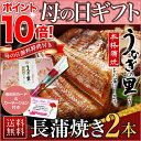 母の日 遅れてごめんね グルメ ギフト プレゼント うなぎ 蒲焼き 国産 鹿児島産 送料無料 長焼き2本セット 約110g×2 うなぎの里 ギフト(鰻 ウナギ)