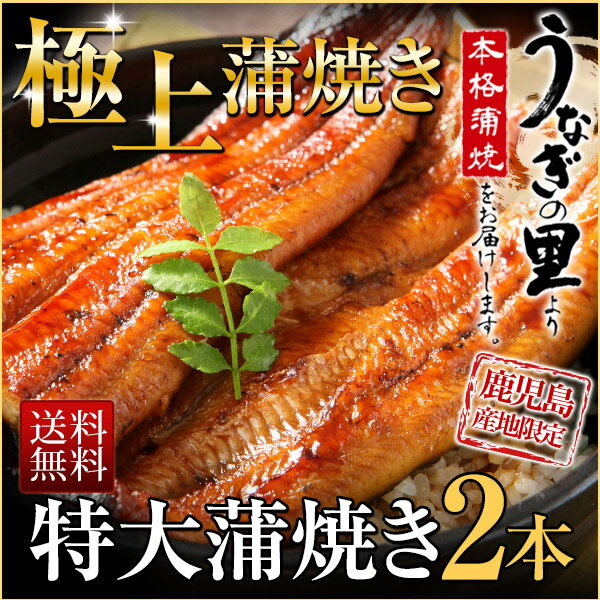 うなぎ 蒲焼き 国産の極上特大蒲焼き(185g以上)2本セット！送料無料★鹿児島産ブランド…...:kuishinboucom-r:10000175