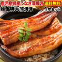丑の日 うなぎ お中元 ギフト 蒲焼き 国内産 送料無料 特...