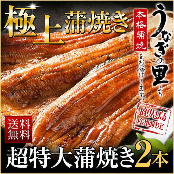 うなぎ 蒲焼き 国産極上超特大蒲焼き(215g以上)2本セット！送料無料★鹿児島産ブランド…...:kuishinboucom-r:10001620