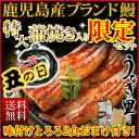 うなぎ 蒲焼き 国産★土用の丑の日限定セット⇒今なら10%還元中!【早得ポイント5倍&さらにクーポン利用で225円OFF!】特大長蒲焼き(185g以上)入り★鹿児島産ブランド鰻!★【『うなぎの里』極上蒲焼き 土用の丑限定セット!(特大蒲焼き1本+きざみ2食)味付けとろろ付き】
