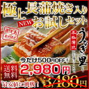 うなぎ 蒲焼き 国産 鹿児島産 鰻 ウナギの里 長