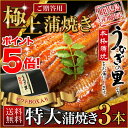 お歳暮 魚介 ギフト うなぎ 蒲焼き 国...