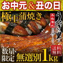 うなぎ 国産 訳あり 1kg 蒲焼き 送料無料 土用の丑の日...