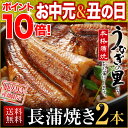 うなぎ 蒲焼き 鹿児島 国産 極上長蒲焼き(106g以上)2...