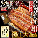 『父の日 ギフト』今年はこれで決まり!日本一の鰻の生産地【鹿児島県『うなぎの里』極上大蒲焼ギフトセット(約140g×2本)たれ・山椒・吸い物付・送料無料】産地限定信頼の国産100%安心安全の新鮮うなぎ♪笑顔があふれる、ふっくら香ばしい、とろける旨さ♪【楽ギフ_のし】