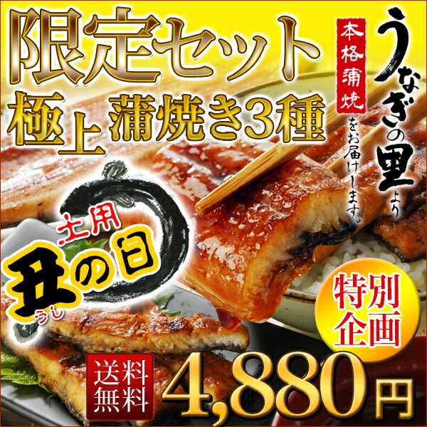 うなぎ 蒲焼き★特大長蒲焼き入り(約160g) 土用の丑の日限定 得割セット⇒今だけ38％OFF★送料無料！鹿児島産ブランド鰻☆超お買い得！贅沢うなぎ三昧♪うな重・うな丼・ひつまぶし！お好きな食べ方でお腹いっぱい召し上がれ〜♪鰻パワーでスタミナアップ↑