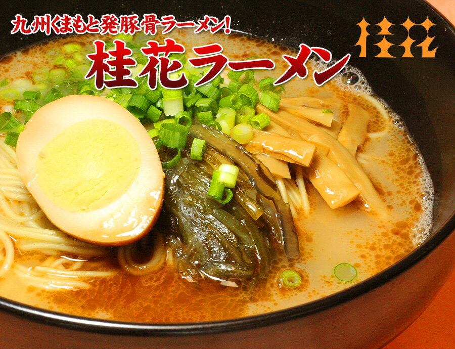 【冷蔵配送】元祖熊本ラーメン！桂花ラーメンセット（2食分）【2sp_120810_green】